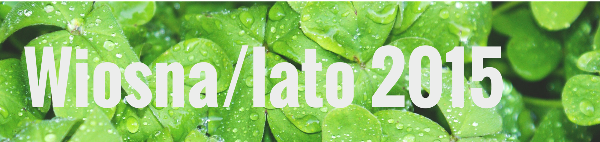 Blogowy rozkład jazdy wiosna/lato 2015