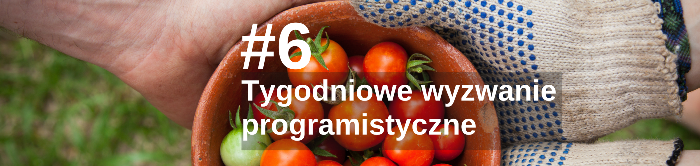 Tygodniowe wyzwanie programistyczne – #6