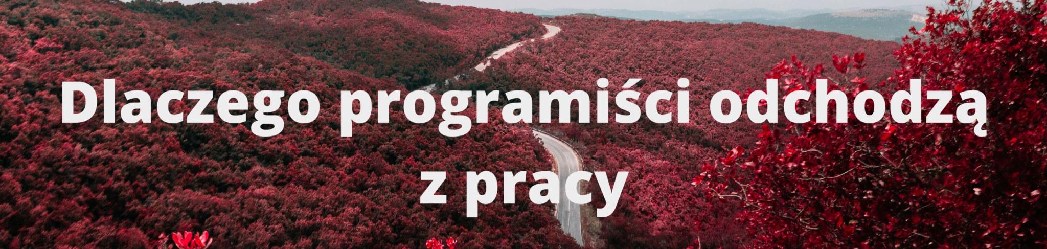 Dlaczego programiści odchodzą z pracy